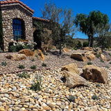 Southwest Boulder & Stone 1.17 cu. ft. 1/2 in. to 1 in. Buff Mexican Beach Pebble Smooth Round Rock for Gardens, Landscapes and Ponds - Super Arbor