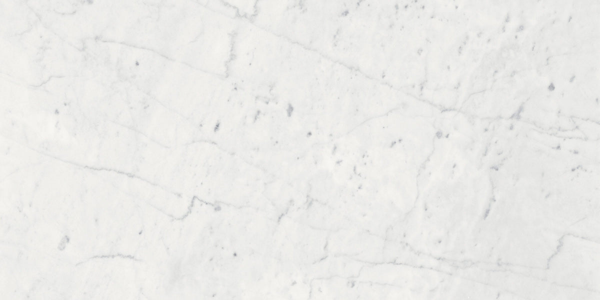 Satori Eterna Bianco 12-in x 24-in Honed Natural stone Marble Floor and Wall Tile product image