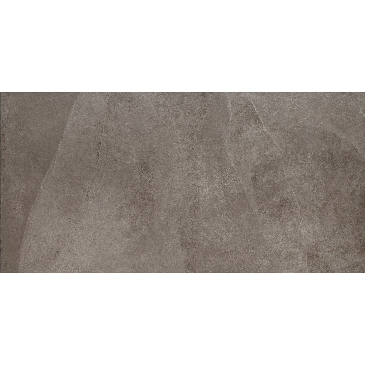 Daltile Delegate Light Grey 12-in x 24-in Matte Porcelain Cement look Floor and Wall Tile product image