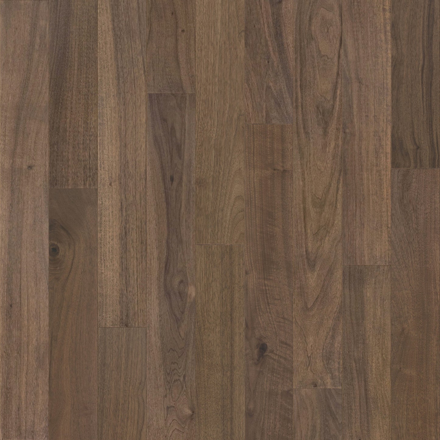 allen + roth Walnut Muenchen hardwood flooring — primary plank view