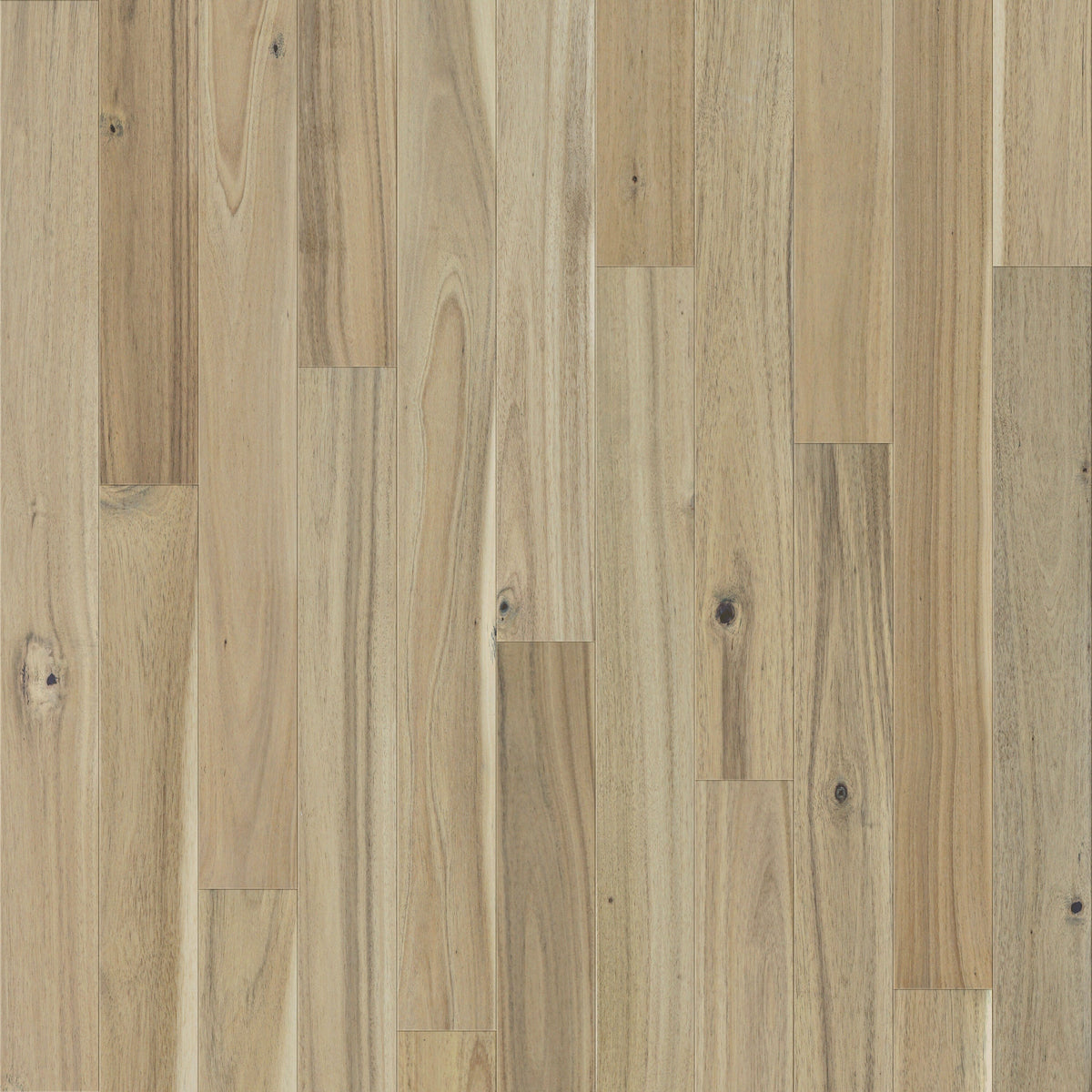 allen + roth Acacia Greystone hardwood flooring — primary plank view