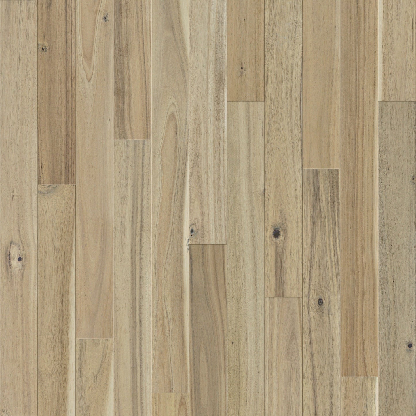 allen + roth Acacia Greystone hardwood flooring — primary plank view