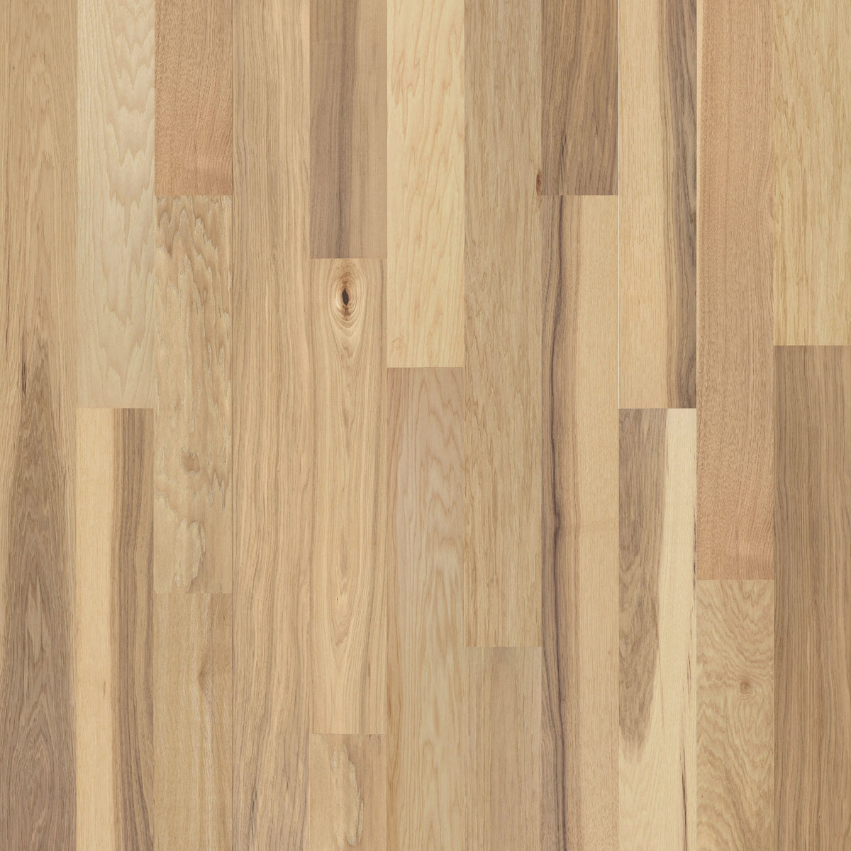 allen + roth Hickory Natural hardwood flooring — primary plank view