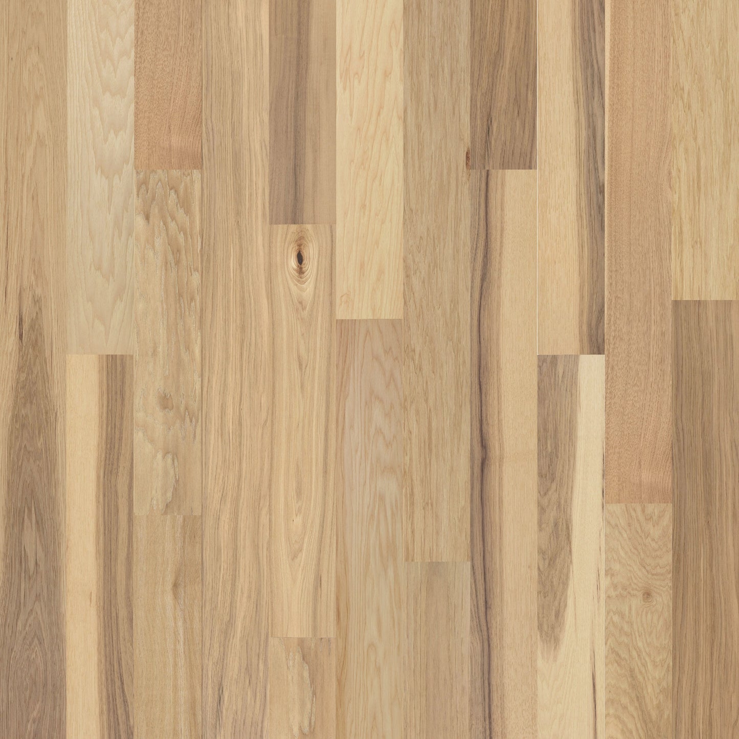 allen + roth Hickory Natural hardwood flooring — primary plank view