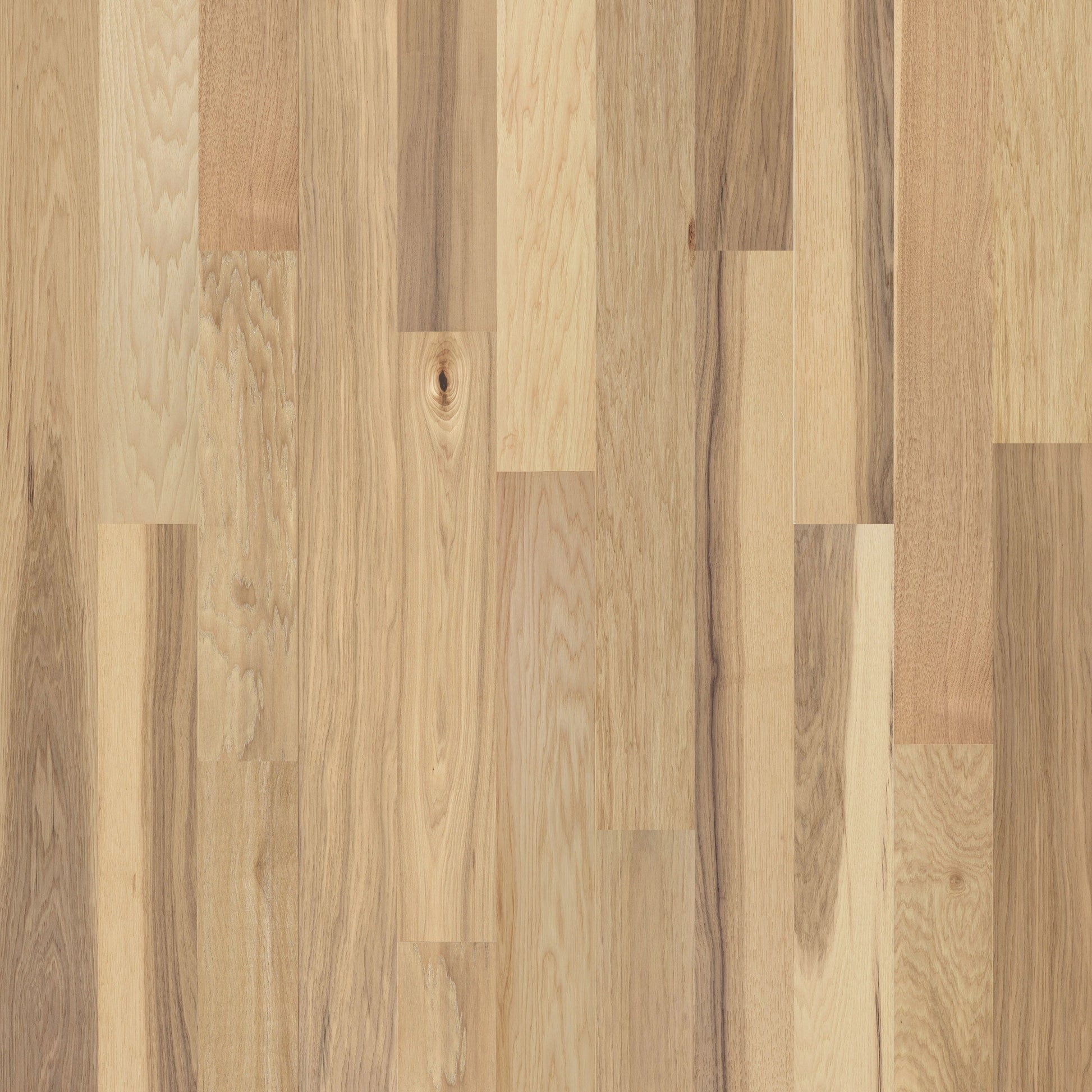 allen + roth Hickory Natural hardwood flooring — primary plank view