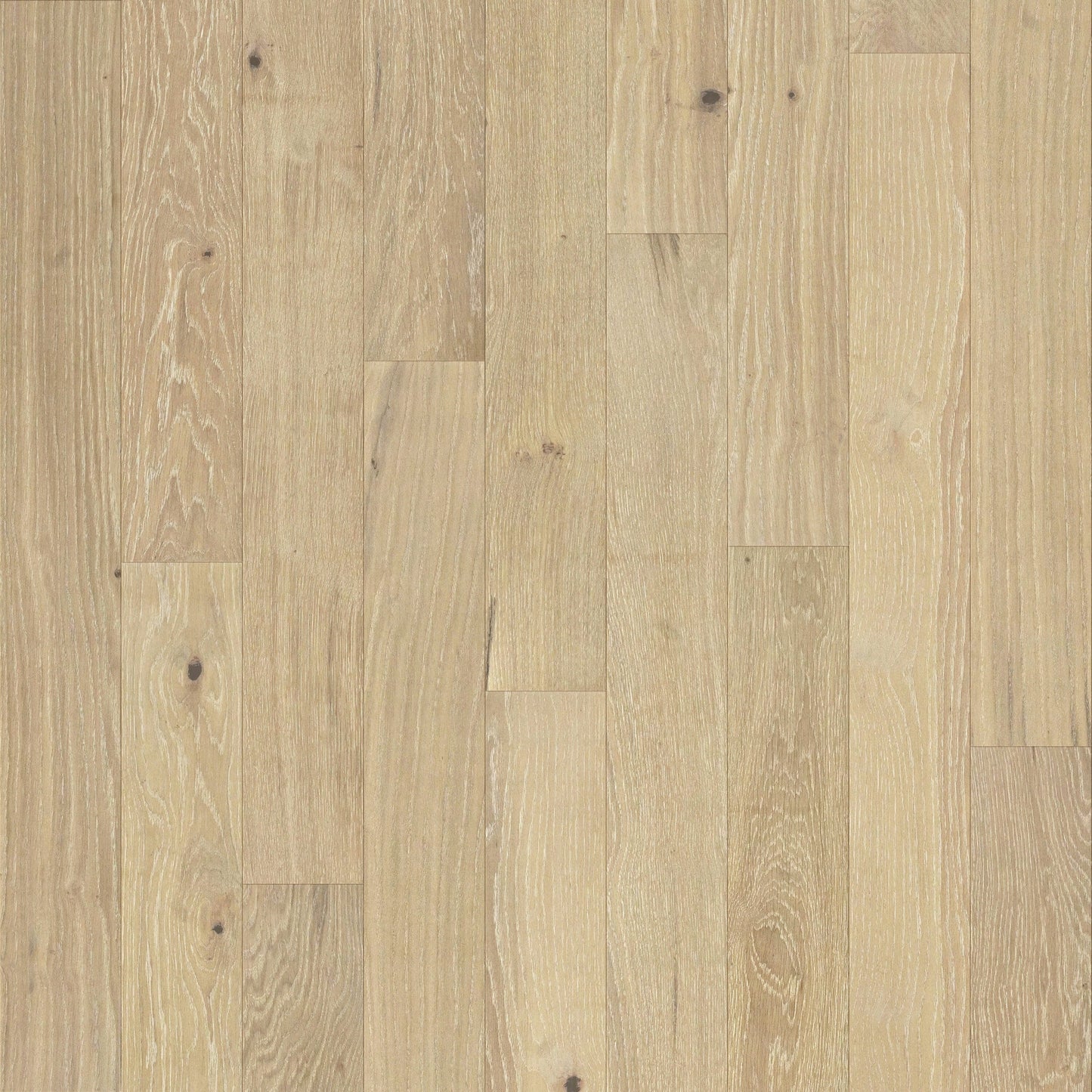 allen + roth White oak Yosemite hardwood flooring — primary plank view