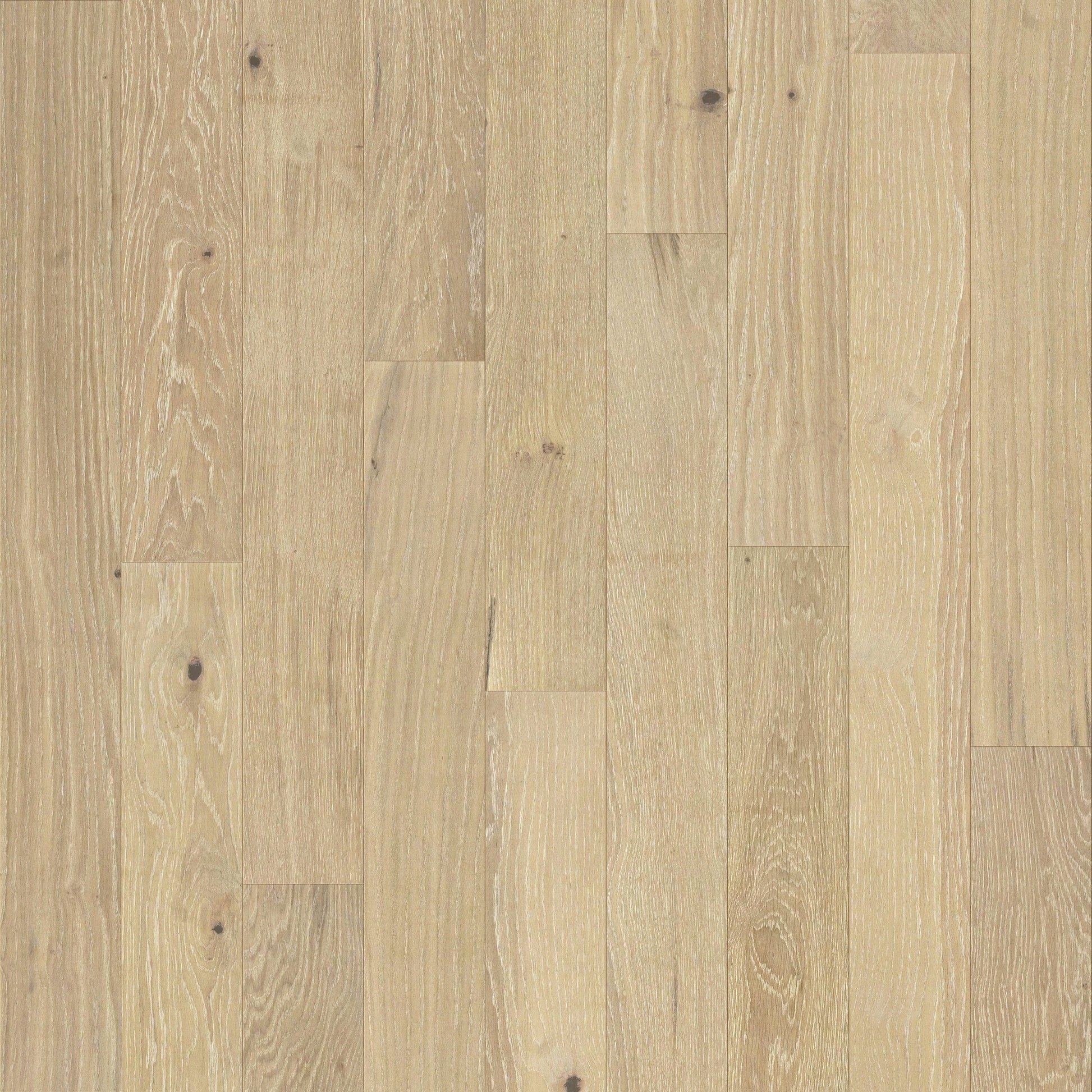 allen + roth White oak Yosemite hardwood flooring — primary plank view