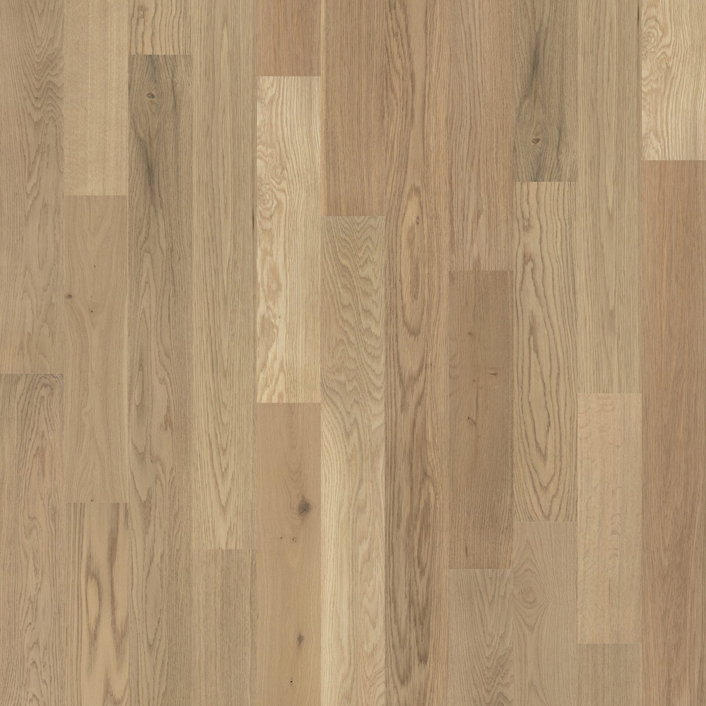 allen + roth White oak Firenze hardwood flooring — primary plank view