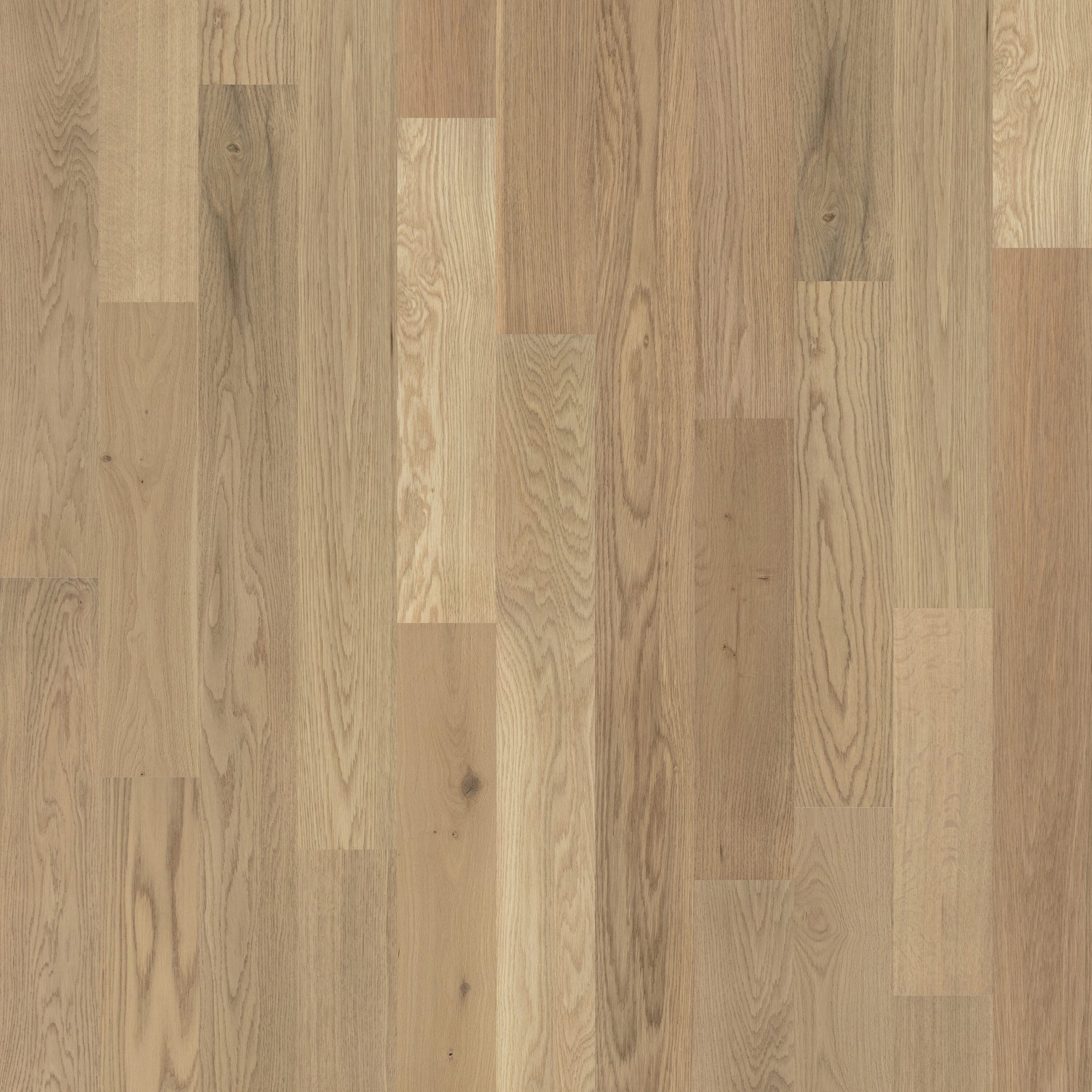 allen + roth White oak Firenze hardwood flooring — primary plank view