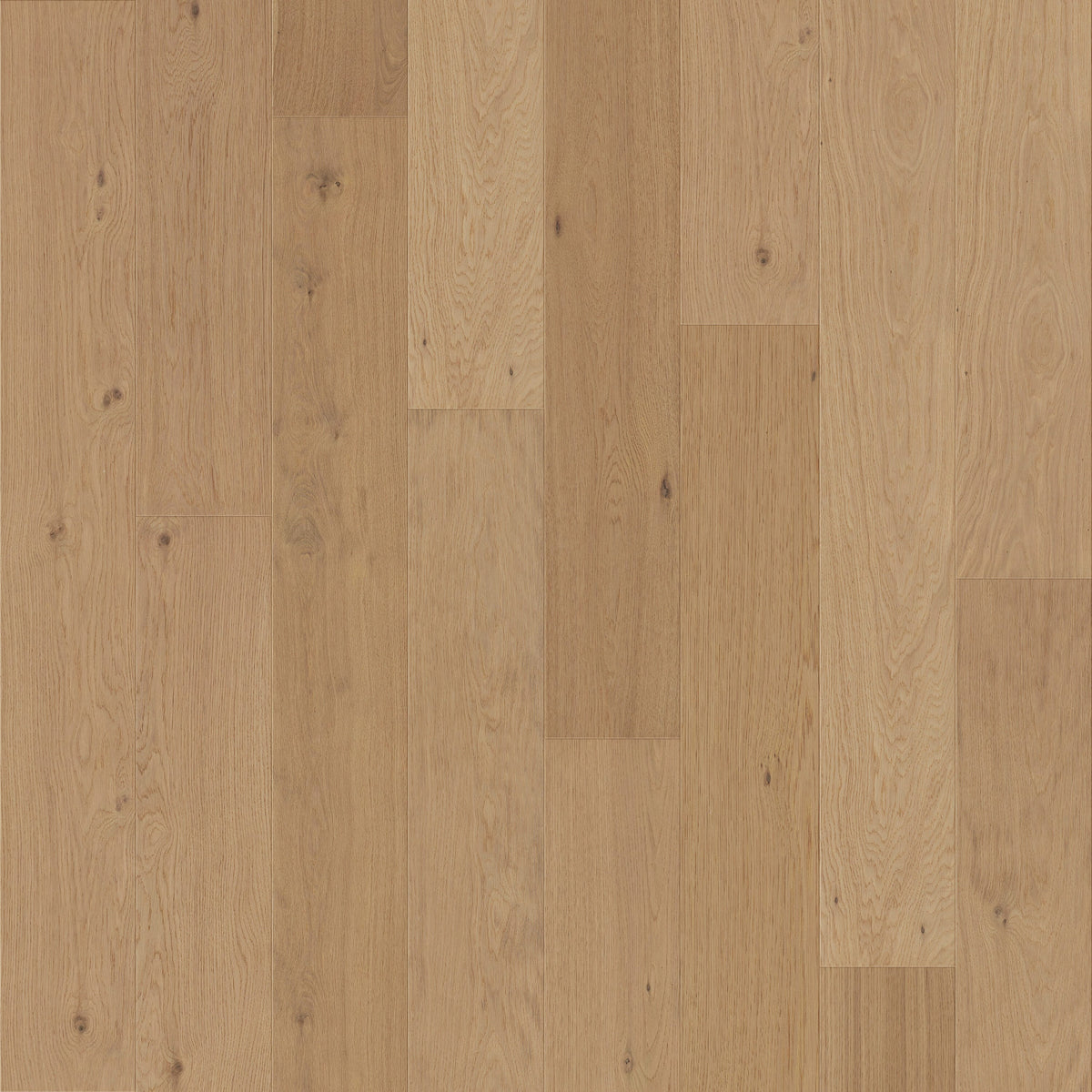 allen + roth Oak Lakeview Superior hardwood flooring — primary plank view