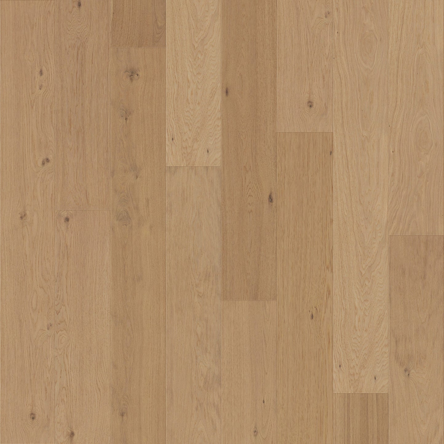 allen + roth Oak Lakeview Superior hardwood flooring — primary plank view