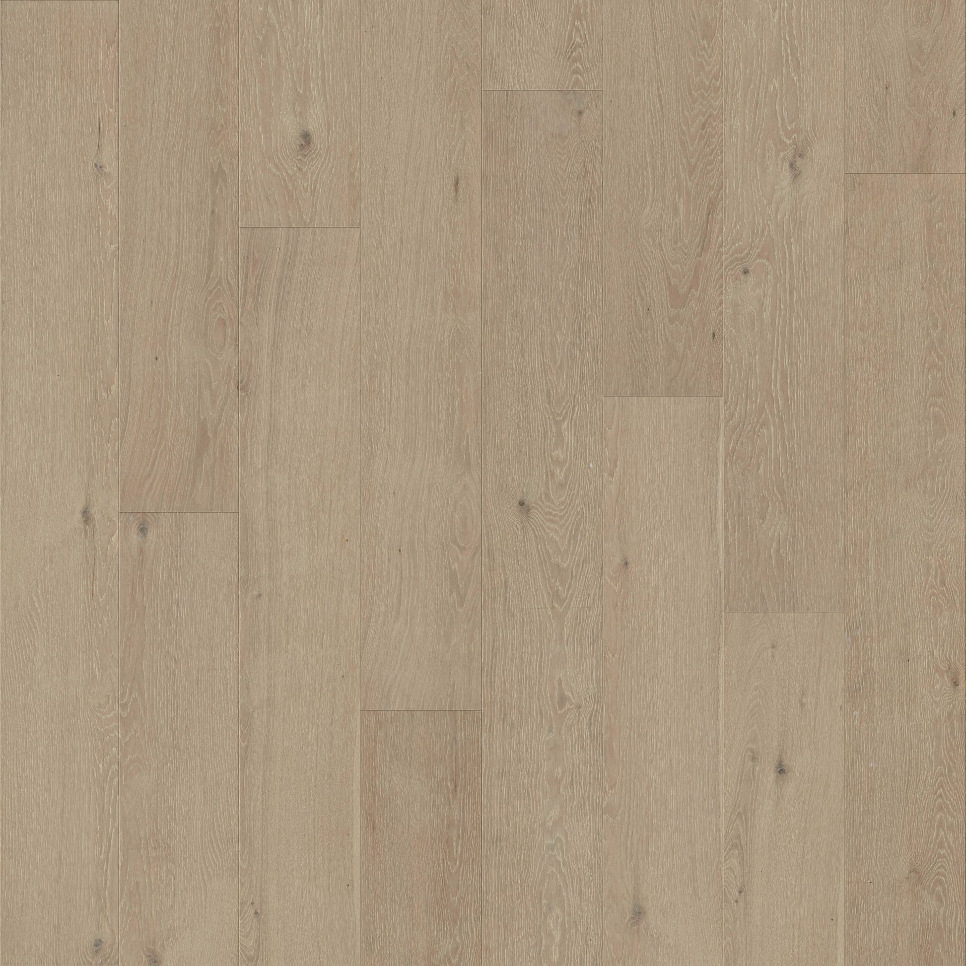 allen + roth Oak Lakeview Geneva hardwood flooring — primary plank view