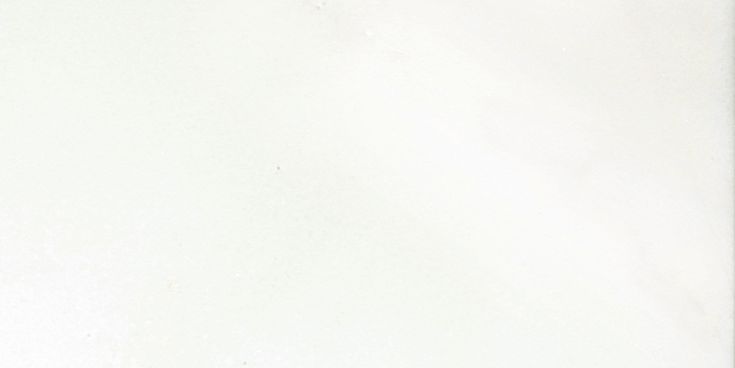 Emser THASSOS WHITE 6-Pack Thassos White 12-in x 24-in Polished Natural Stone Marble Stone Look Floor and Wall Tile