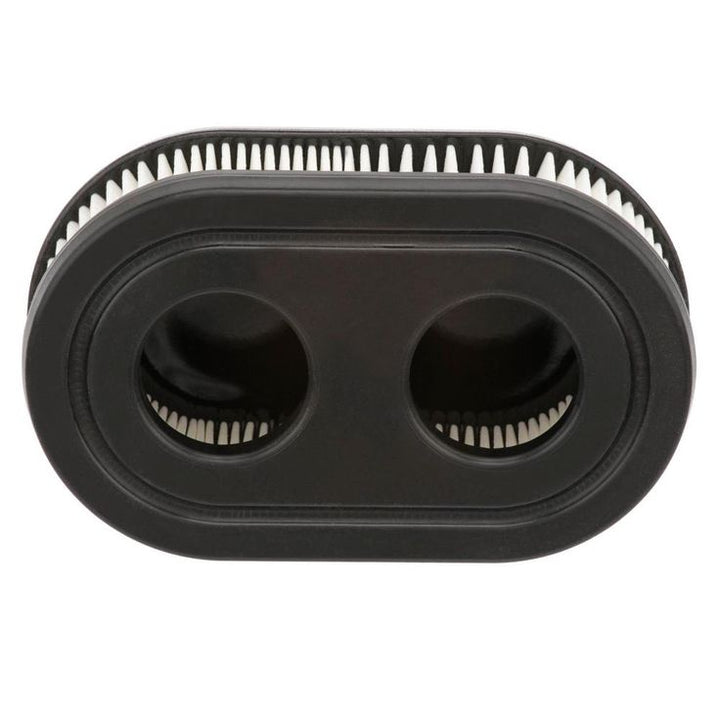 Briggs & Stratton Air Filter