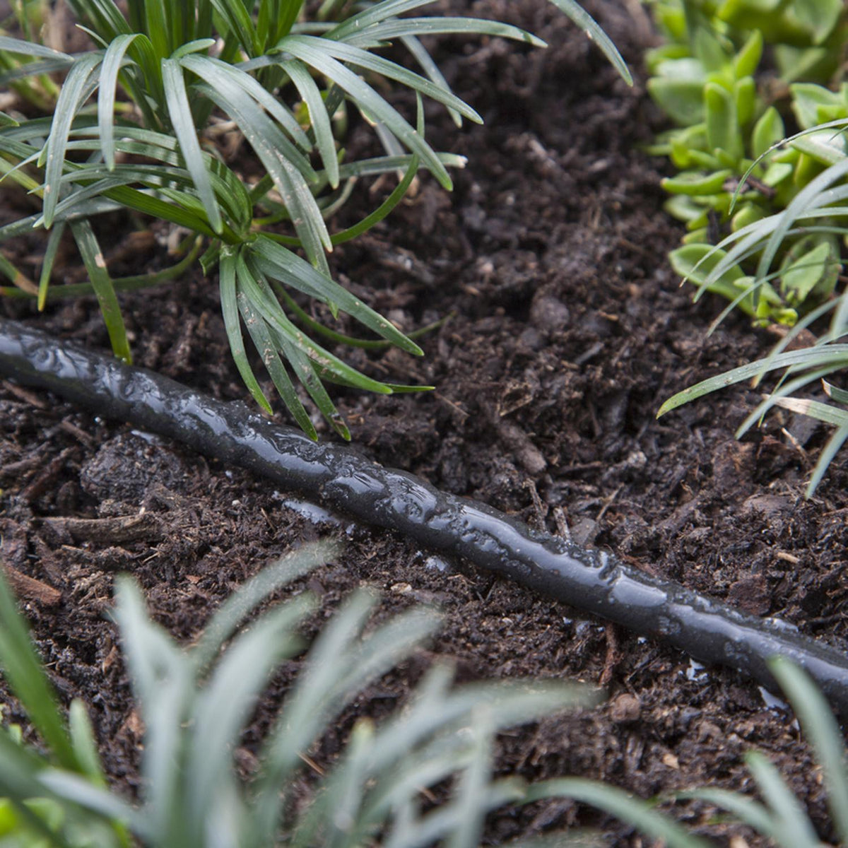 Raindrip Polyethylene Drip Irrigation Soaker Tubing, 1/4 in. OD x 50 ft.