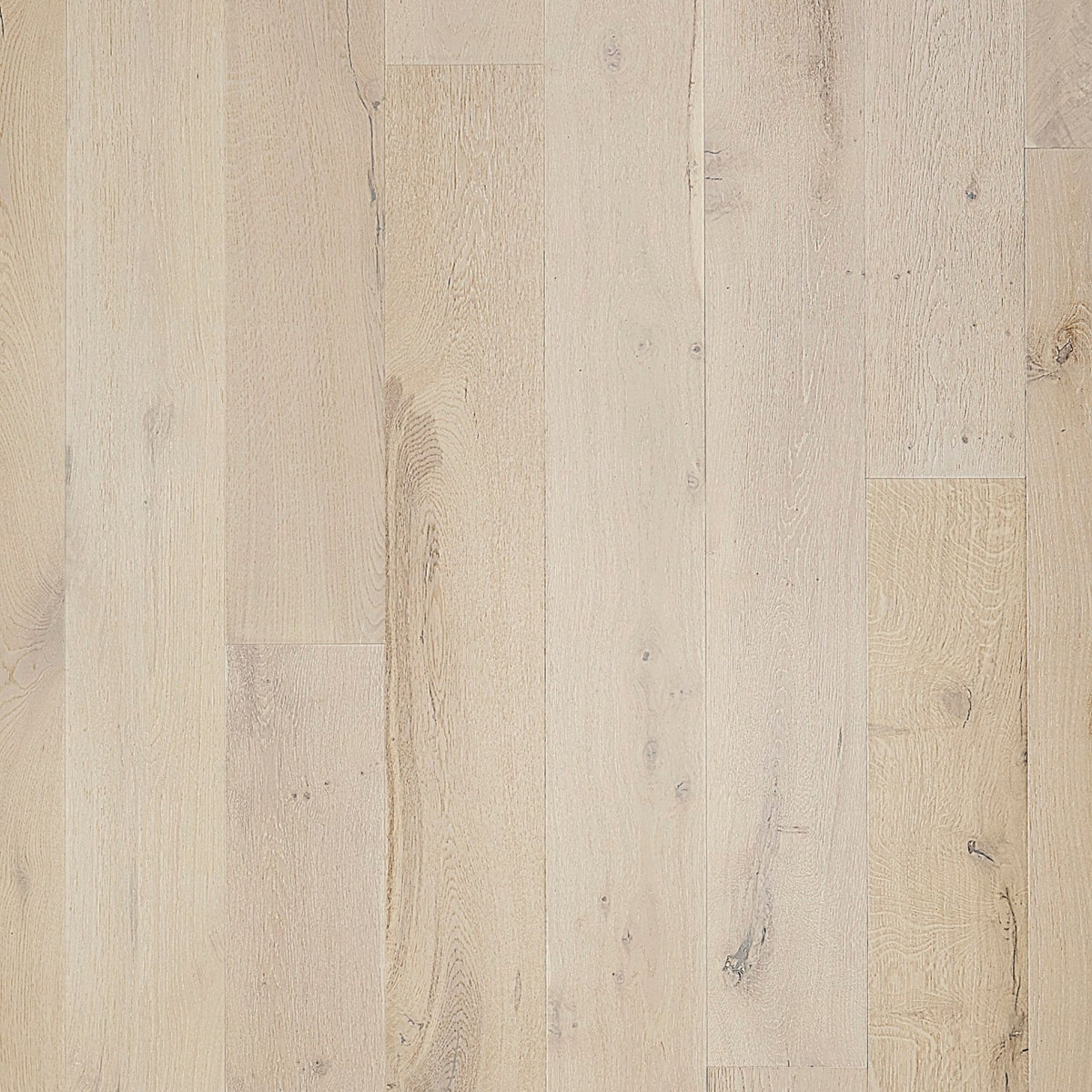 Element Flooring European white oak Evening White hardwood flooring — primary plank view