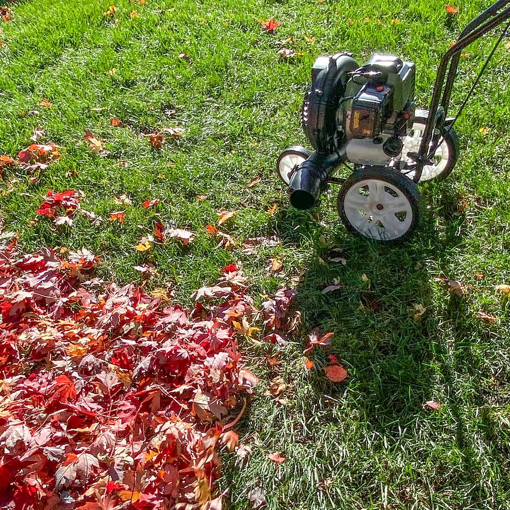 Sportsman 230 MPH 450 CFM 52 cc Gas Powered Walk-Behind Leaf Blower - Super Arbor