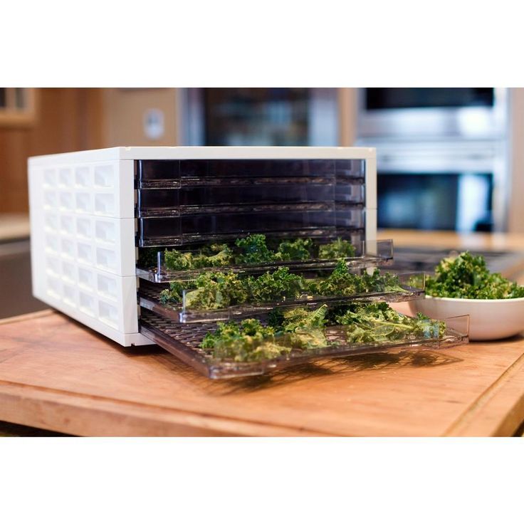 6-Tray White Food Dehydrator with Temperature Control