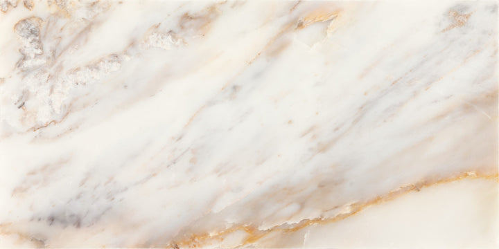 Daltile Gamma Bella 12-in x 24-in Honed Natural stone Marble Marble look Floor and Wall Tile product image