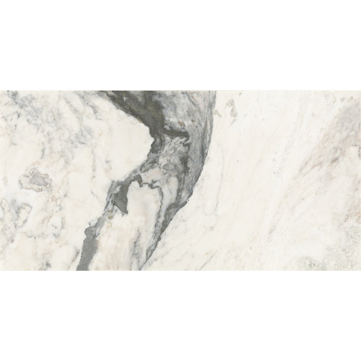 Daltile Gamma Illusive 12-in x 24-in Honed Natural stone Marble Marble look Floor and Wall Tile product image