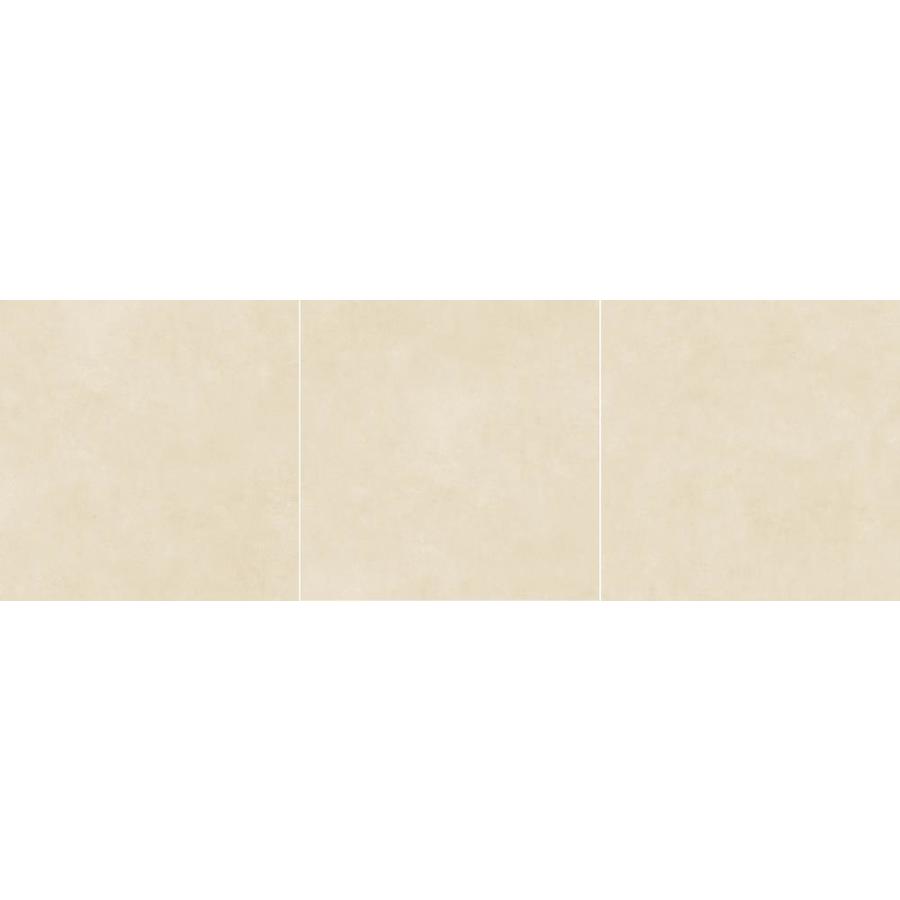 7751239139926_16502776_2036999859.jpg