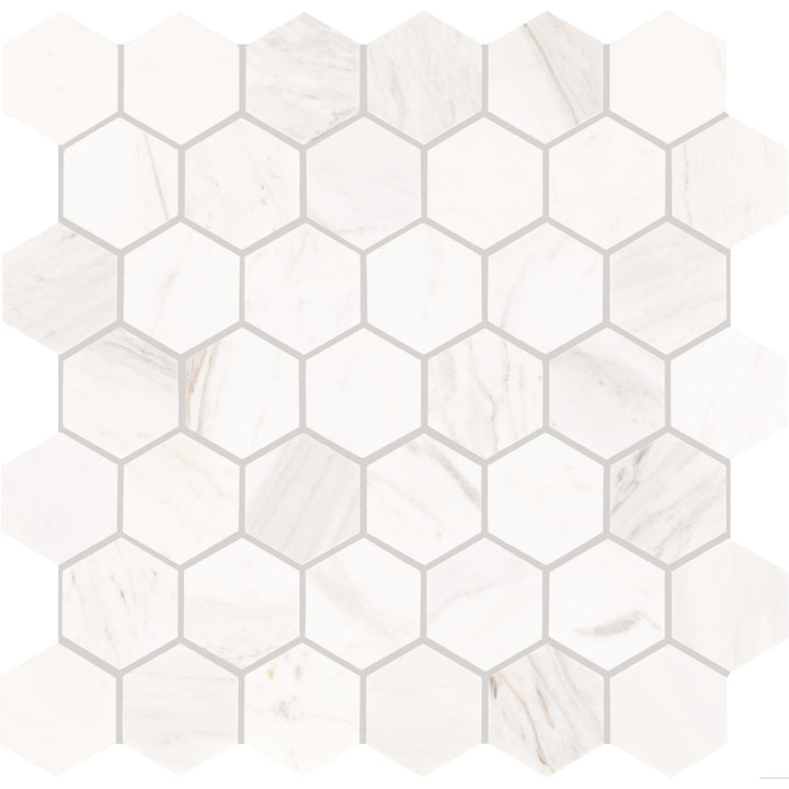 Daltile Raine Stratus White 12-in x 12-in Honed Natural stone Marble Marble look Hexagon Mosaic Floor and Wall Tile product image