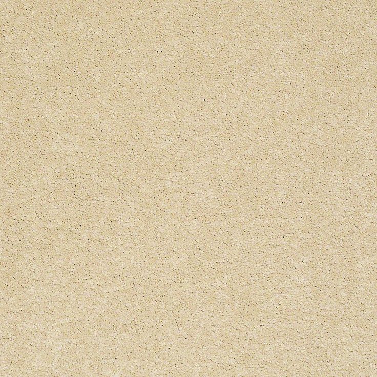 STAINMASTER PetProtect Baxter I Spaniel Textured Carpet (Indoor)