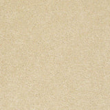 STAINMASTER PetProtect Baxter I Spaniel Textured Carpet (Indoor)
