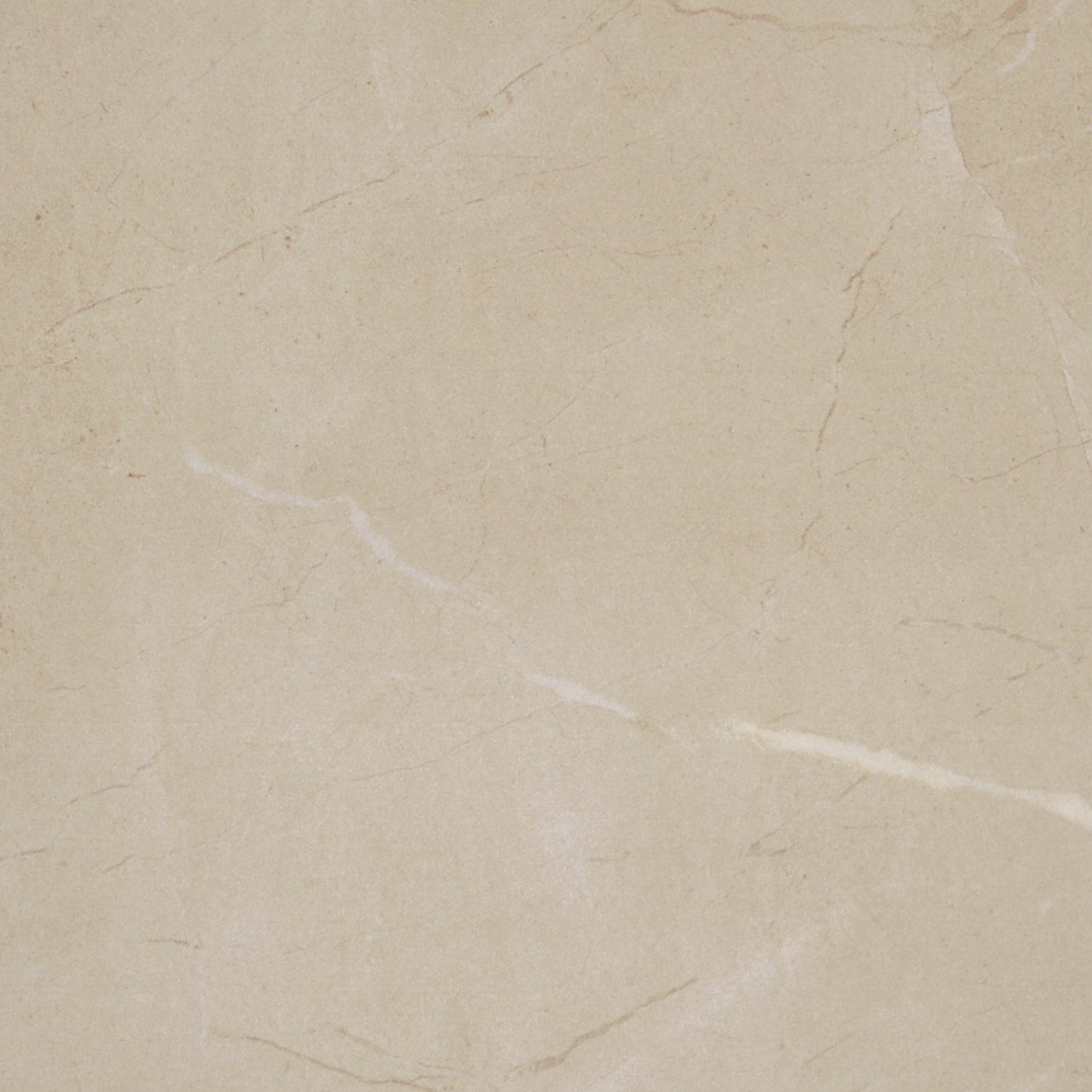 Daltile Perpetuo Elegant Beige 12-in x 12-in Matte Porcelain Marble look Floor and Wall Tile product image