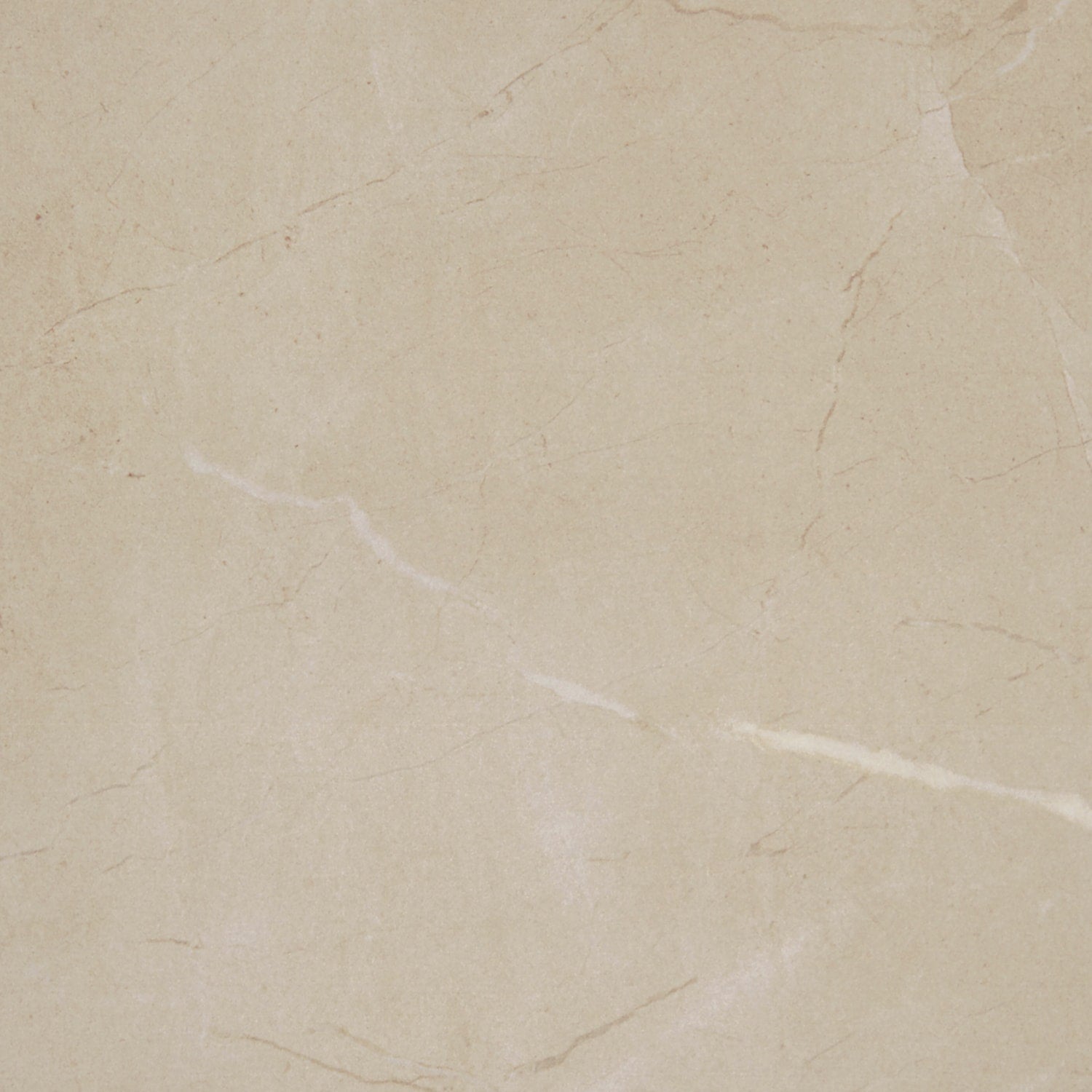 Daltile Perpetuo Elegant Beige 12-in x 12-in Matte Porcelain Marble look Floor and Wall Tile product image