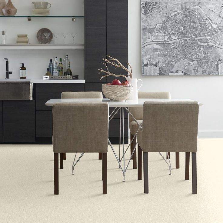 STAINMASTER PetProtect Baxter I Lucy Textured Carpet (Indoor)