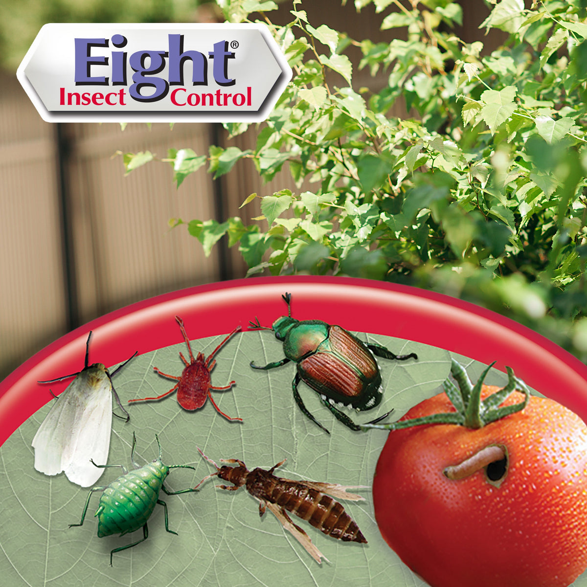 Bonide Eight Insect Control Garden Dust, 3 lb