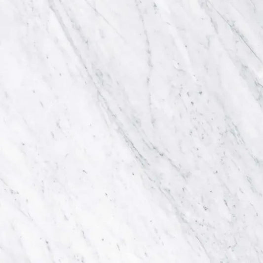 Apollo Tile Regalia White 24-in x 24-in Matte Porcelain Encaustic Floor and Wall Tile product image