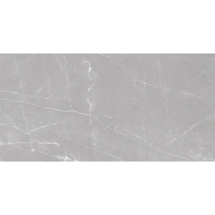Apollo Tile Regalia Ash Gray 24-in x 48-in Matte Porcelain Encaustic Floor and Wall Tile product image