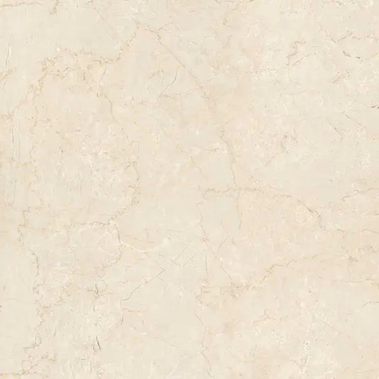 Apollo Tile Regalia Crema Beige 24-in x 24-in Matte Porcelain Encaustic Floor and Wall Tile product image