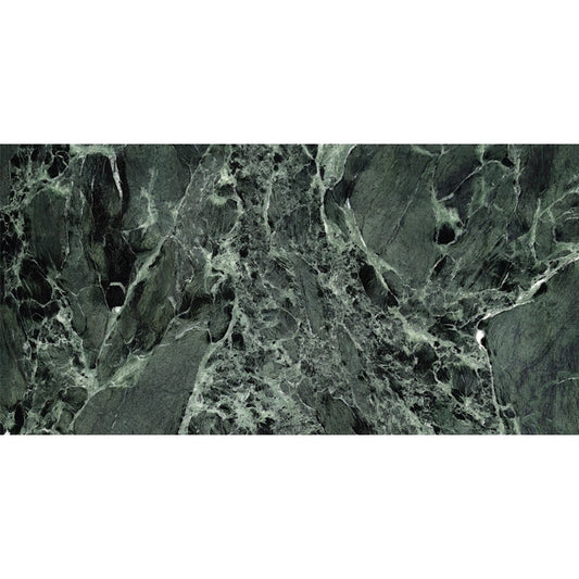Apollo Tile Regalia Verde Alpi 24-in x 48-in Matte Porcelain Encaustic Floor and Wall Tile product image