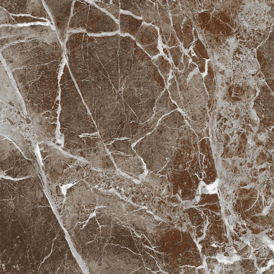 Apollo Tile Regalia Rosso Levanto 24-in x 24-in Matte Porcelain Encaustic Floor and Wall Tile product image