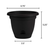 Bloem Freesia Planter w/ Saucer 12" Classic Blue
