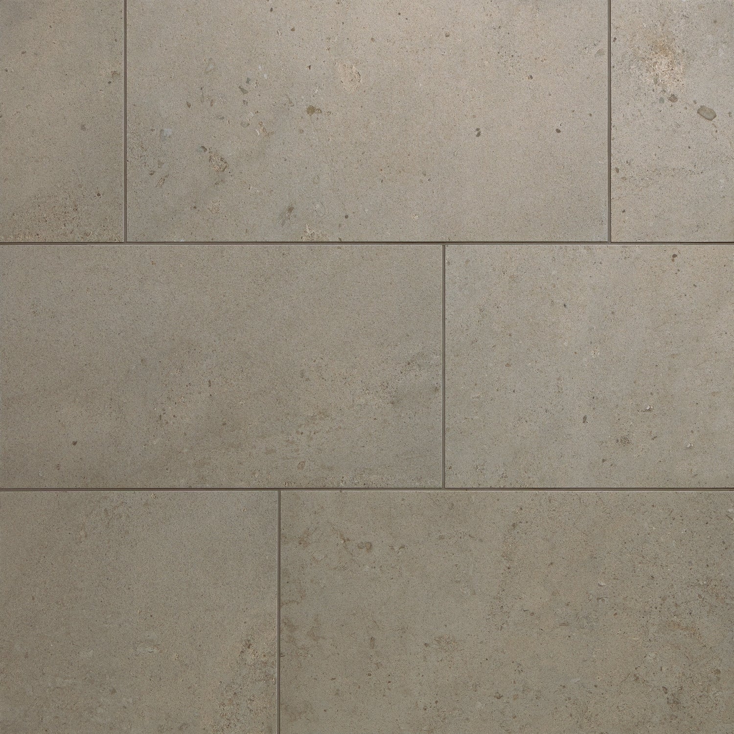 Daltile Sand and Stone Dune 12-in x 24-in Matte Porcelain Floor and Wall Tile product image