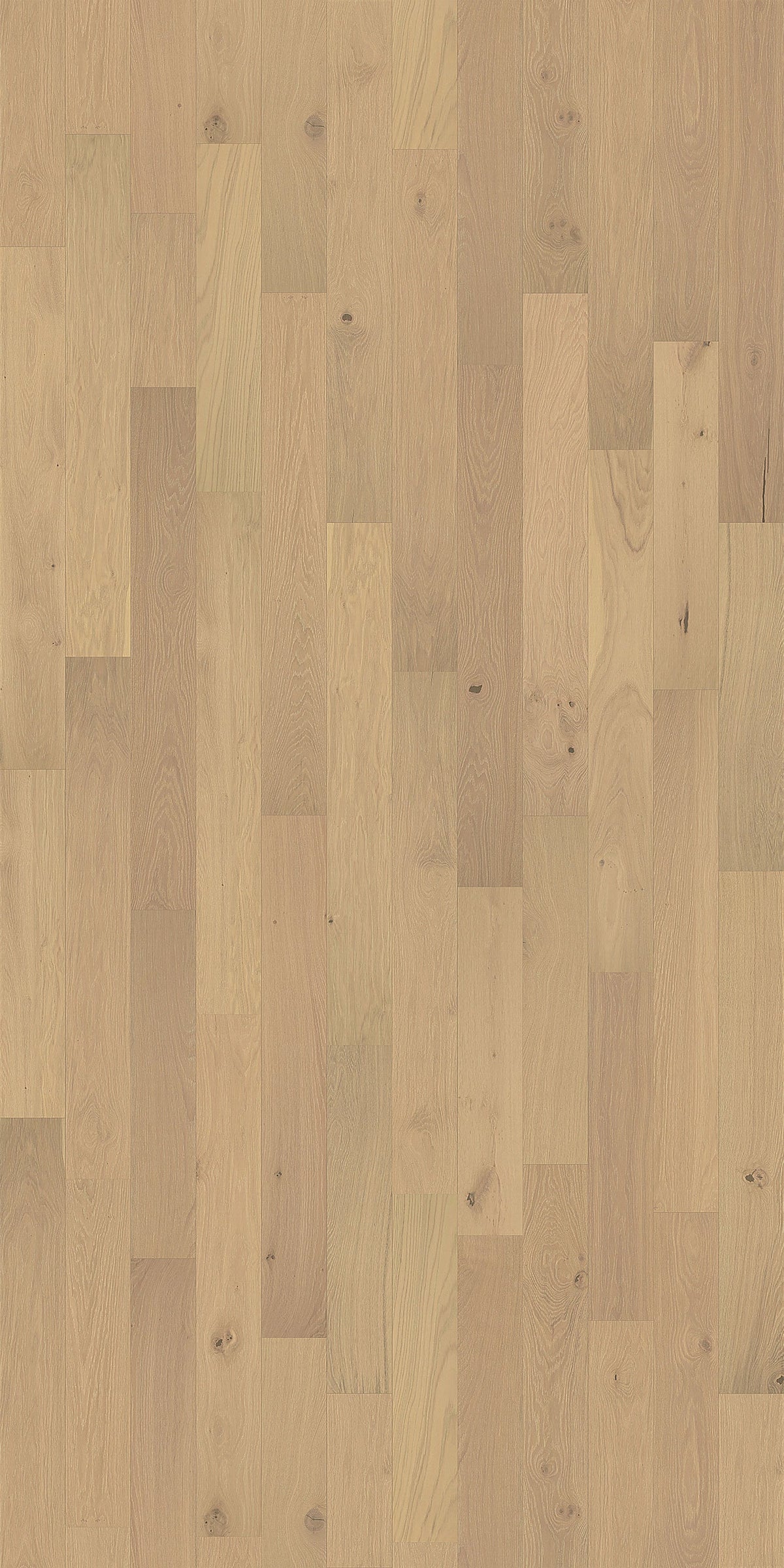 Element Flooring European white oak Greenwood hardwood flooring — detail view