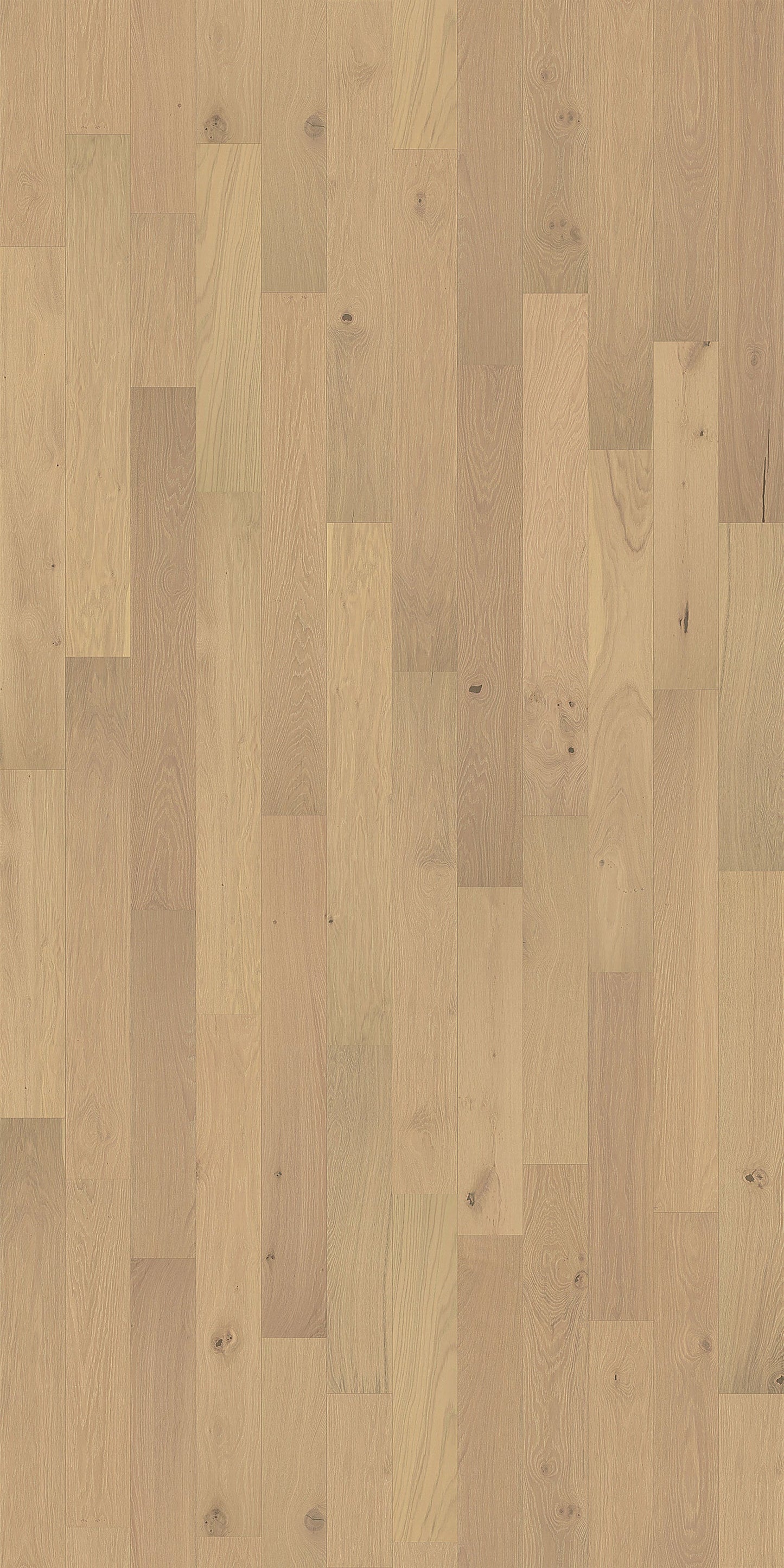 Element Flooring European white oak Greenwood hardwood flooring — detail view