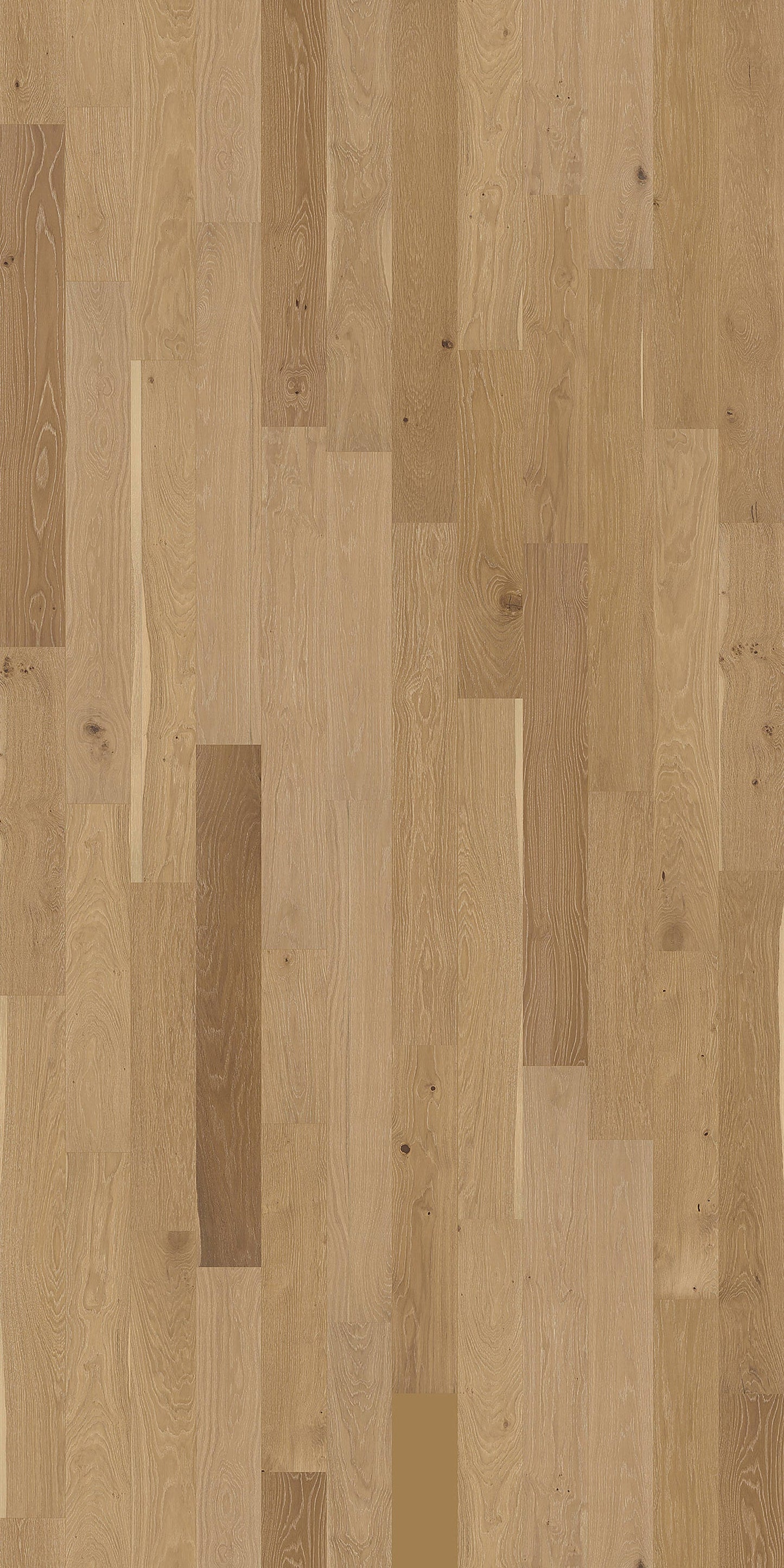 Element Flooring European white oak Wateree hardwood flooring — detail view