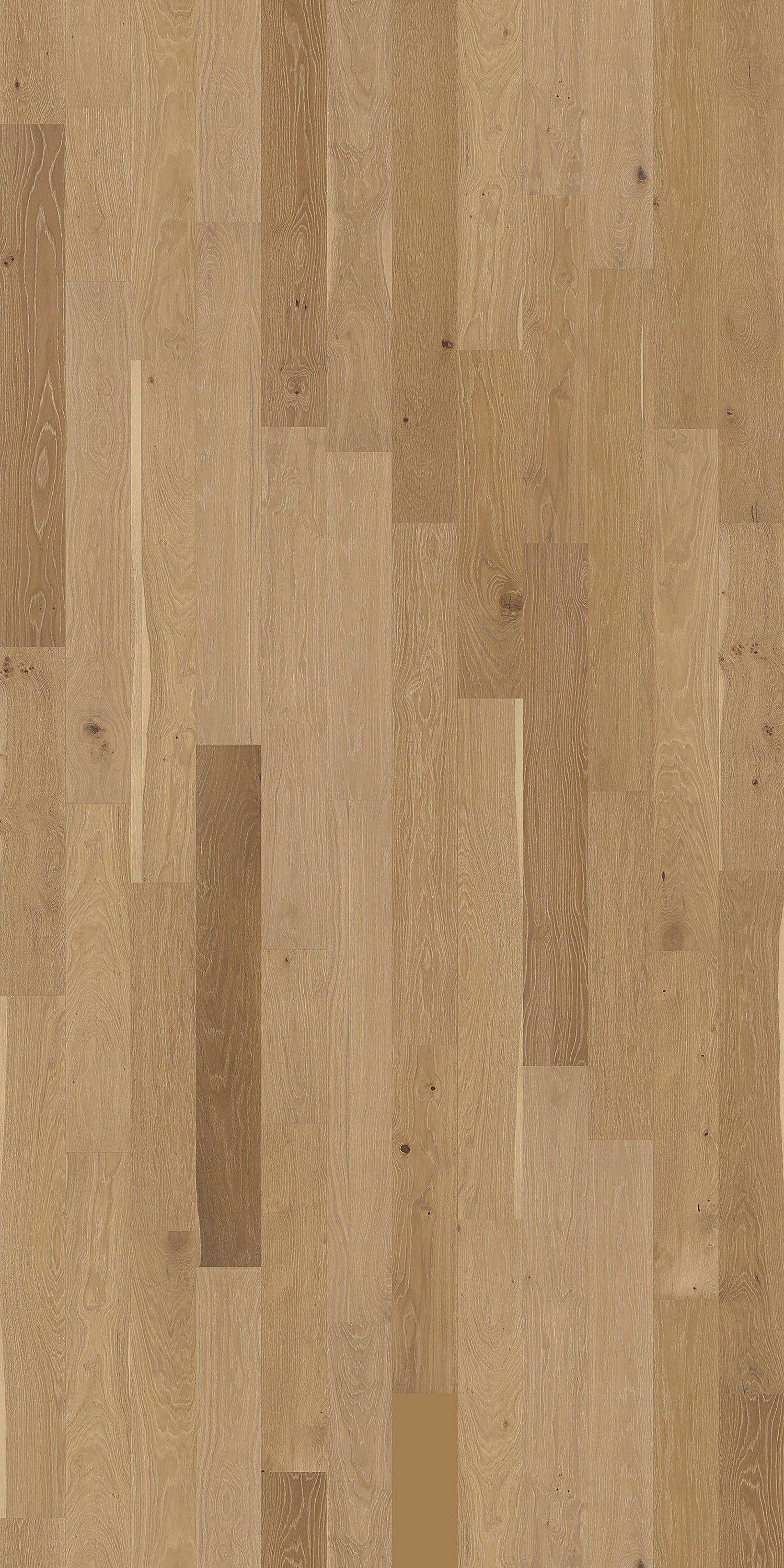 Element Flooring European white oak Wateree hardwood flooring — detail view
