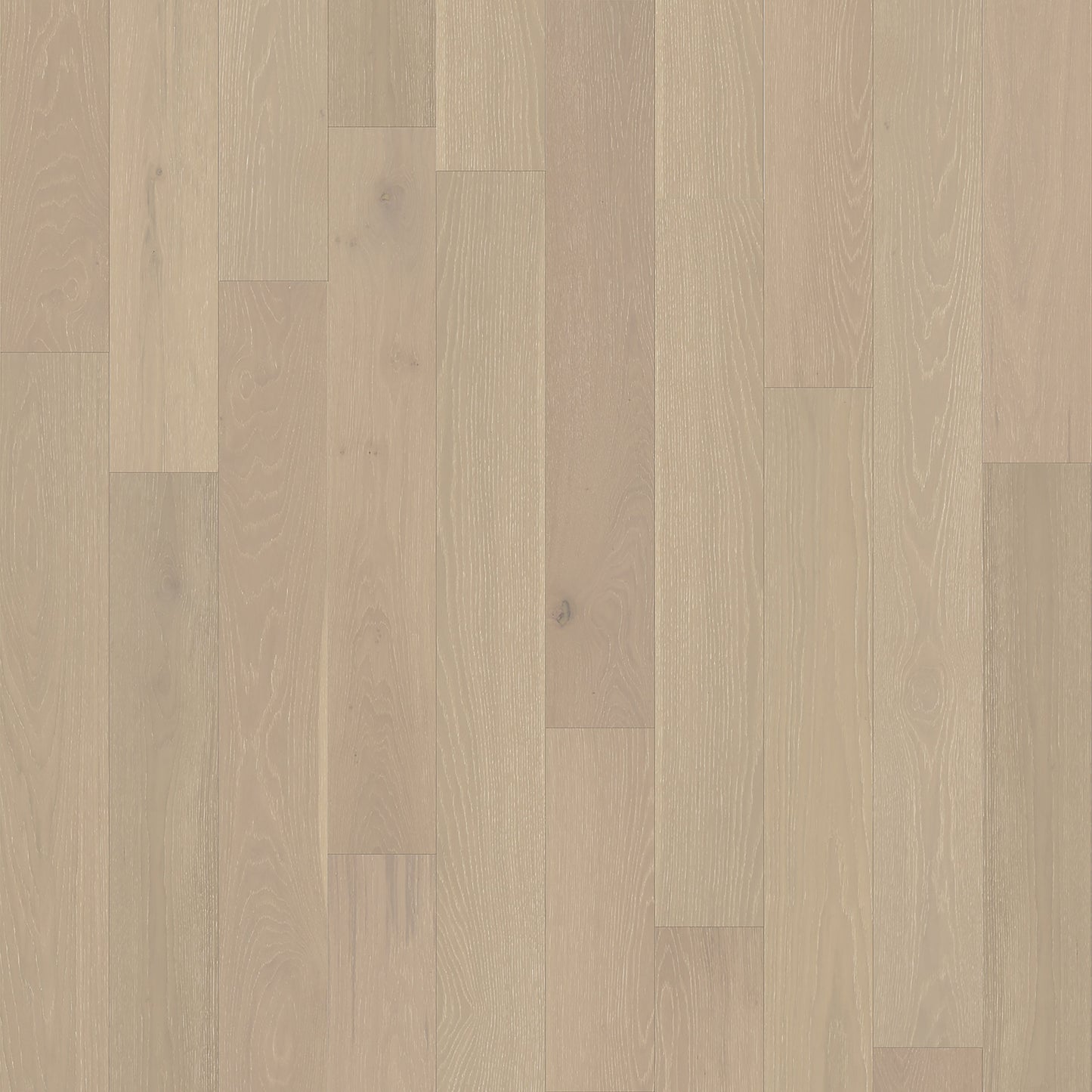 Element Flooring European white oak Dameron hardwood flooring — primary plank view