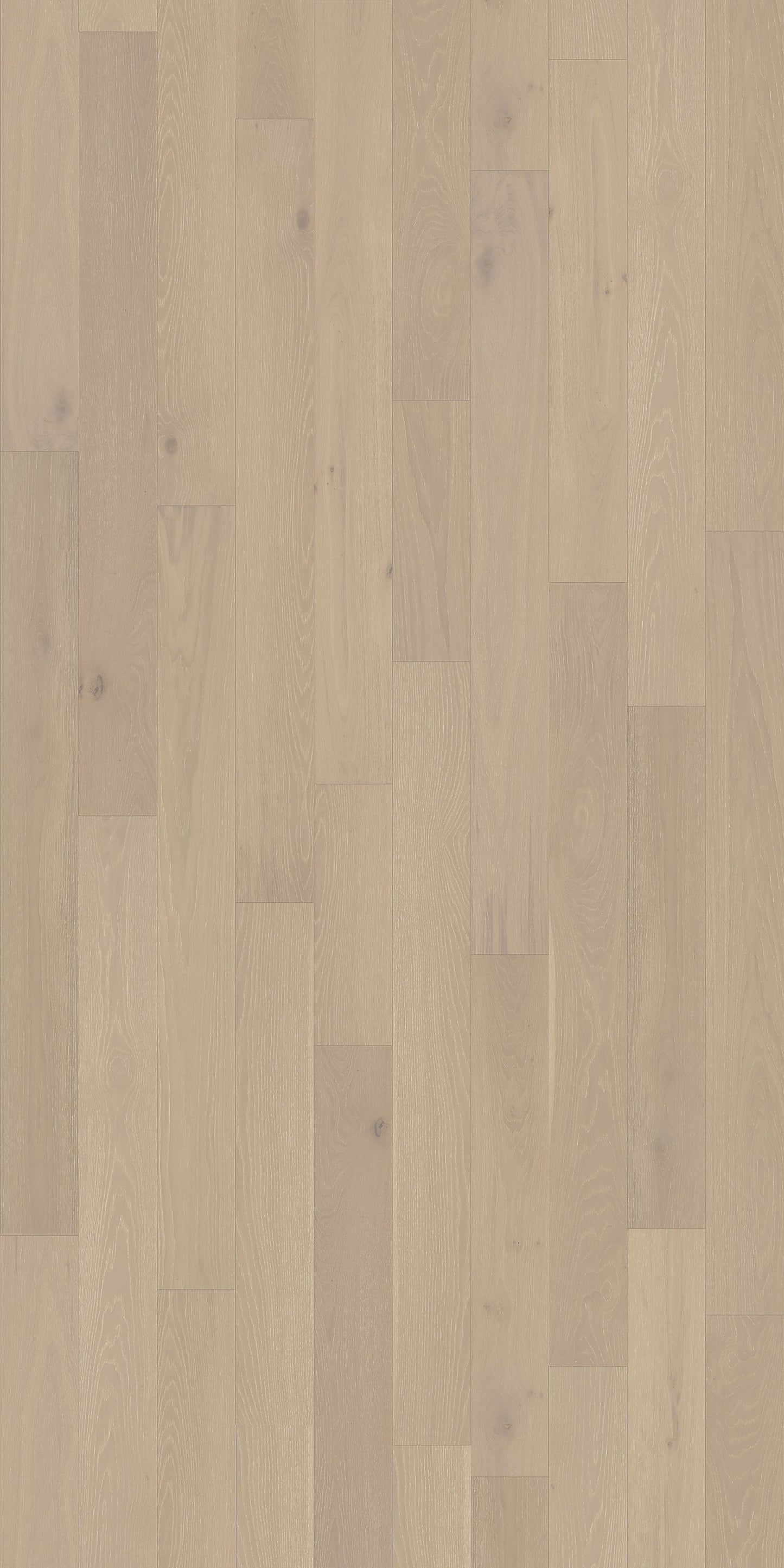 Element Flooring European white oak Dameron hardwood flooring — detail view