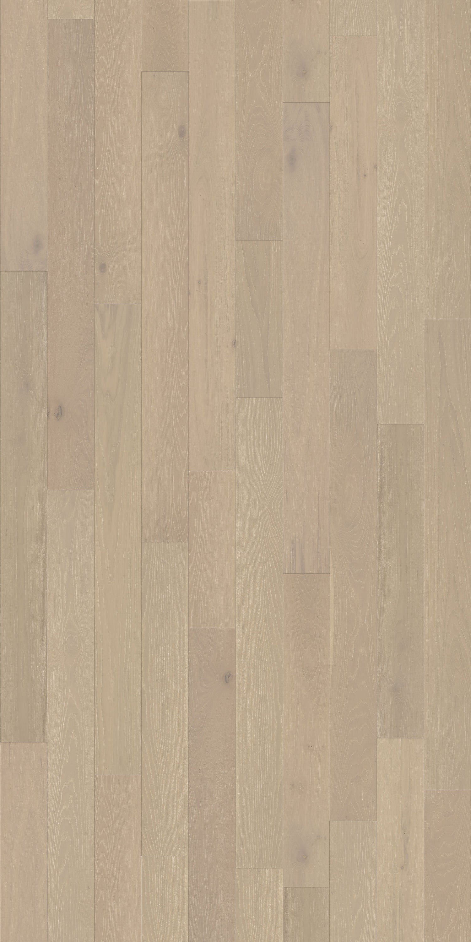 Element Flooring European white oak Dameron hardwood flooring — detail view