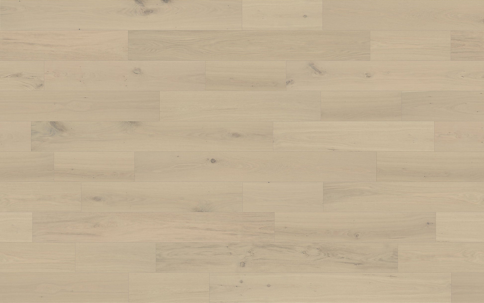 Element Flooring European white oak Coster hardwood flooring — view 10