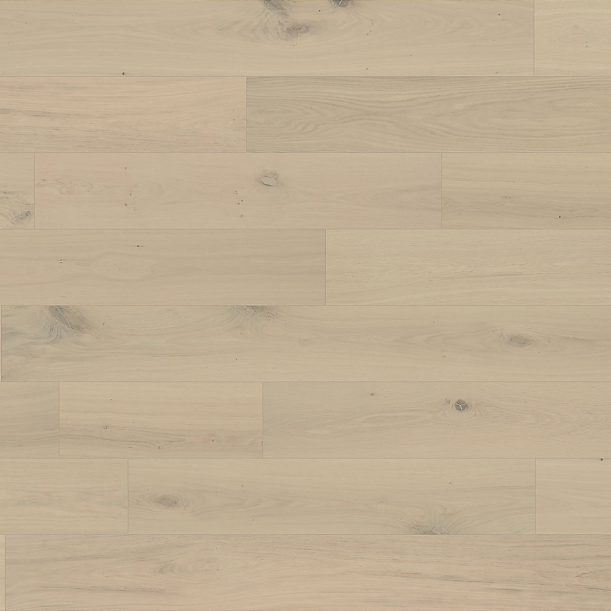 Element Flooring European white oak Coster hardwood flooring — view 15