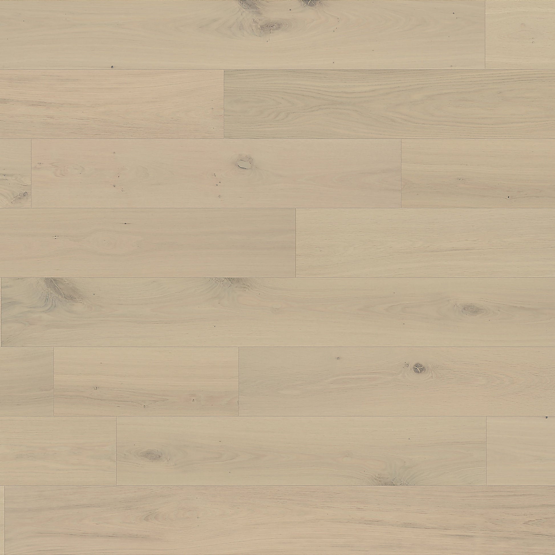 Element Flooring European white oak Coster hardwood flooring — view 15