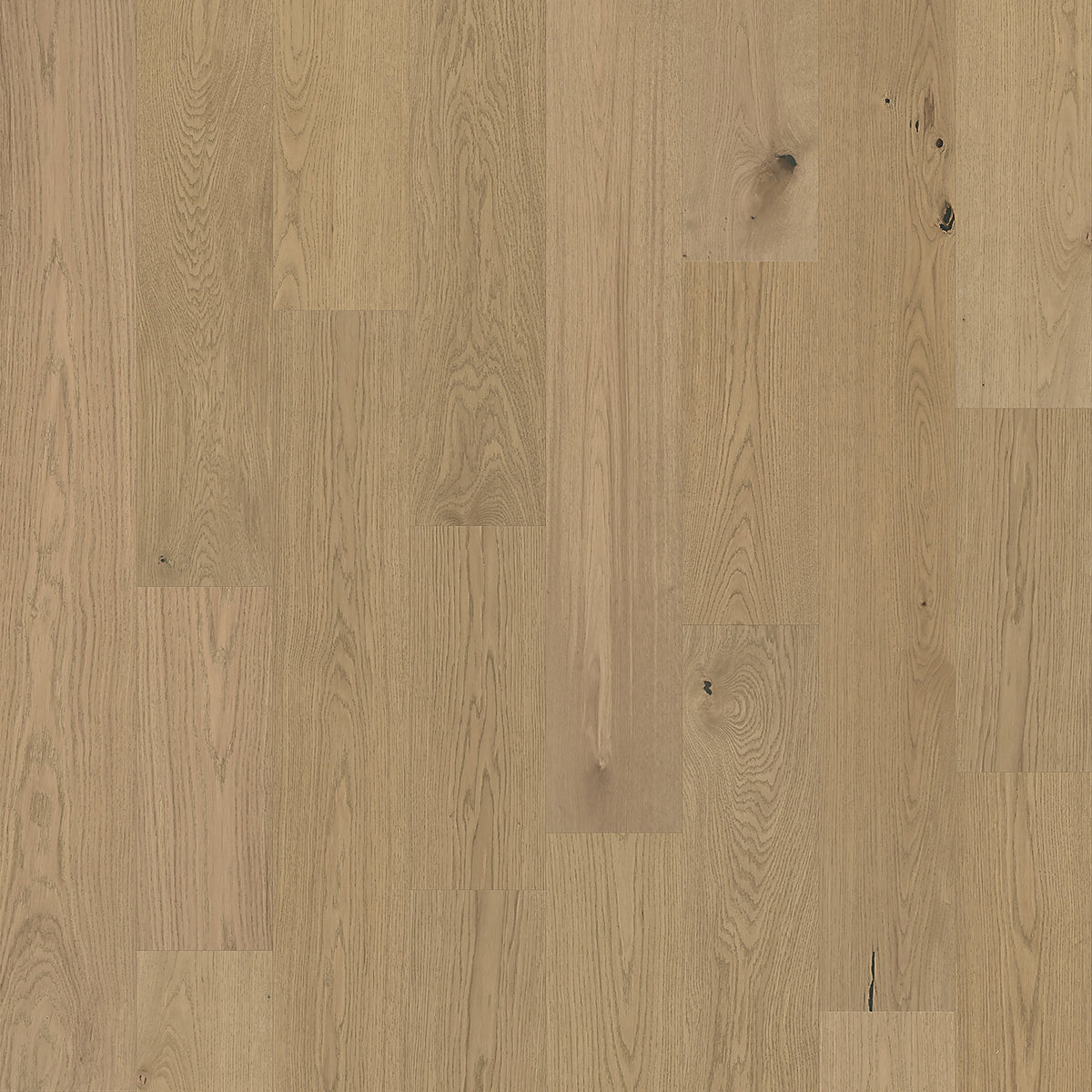 Element Flooring European white oak Nairn hardwood flooring — primary plank view